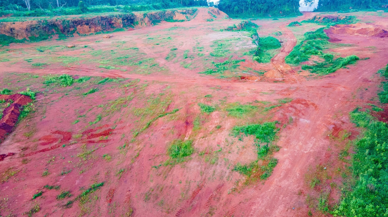 Reclaimed mined land with new vegetation