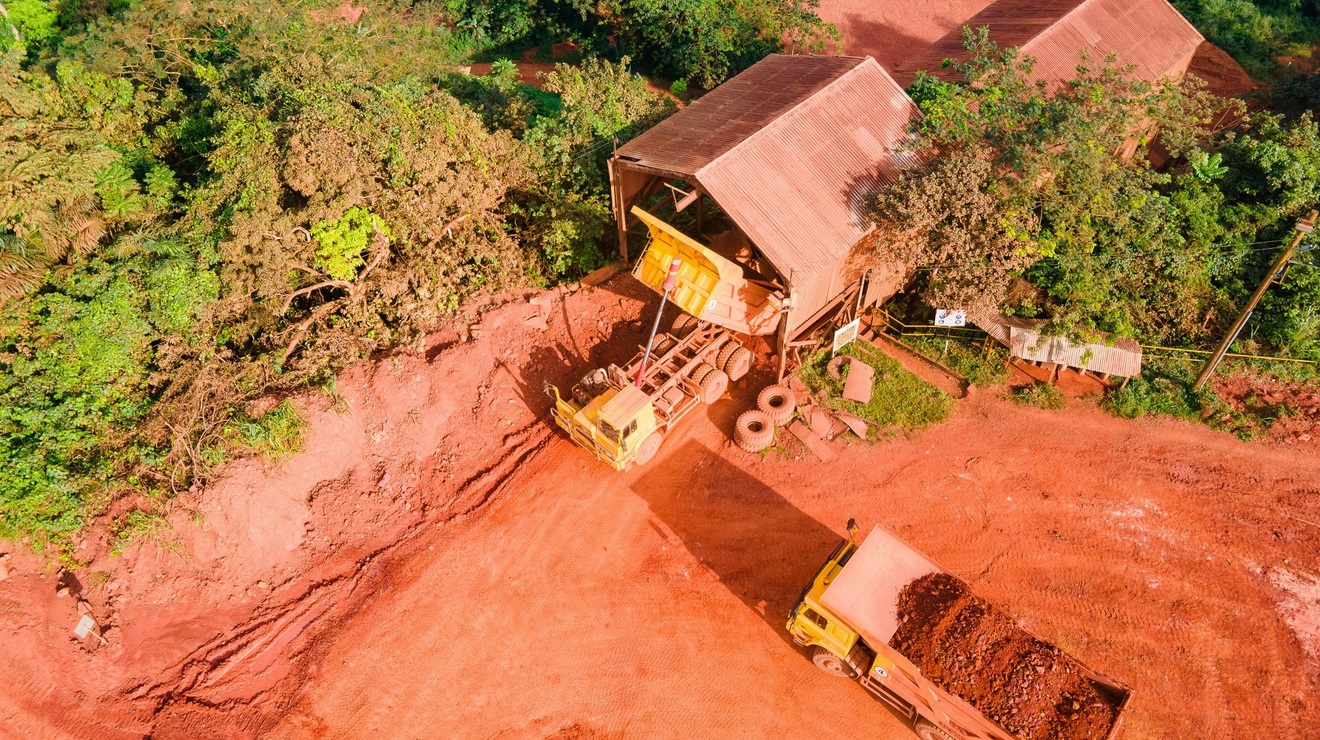 Loader and tipper at the forest edge